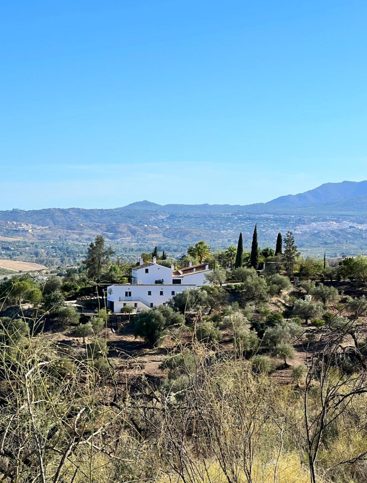 Santa Teresa Bed & Breakfast Andalusien Pizarra Kültér fotó