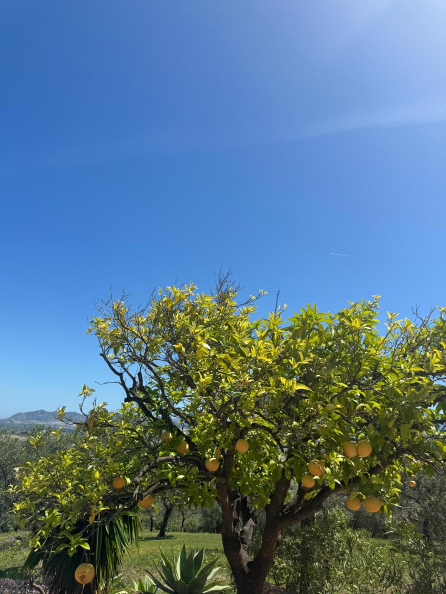 Santa Teresa Bed & Breakfast Andalusien Pizarra Kültér fotó