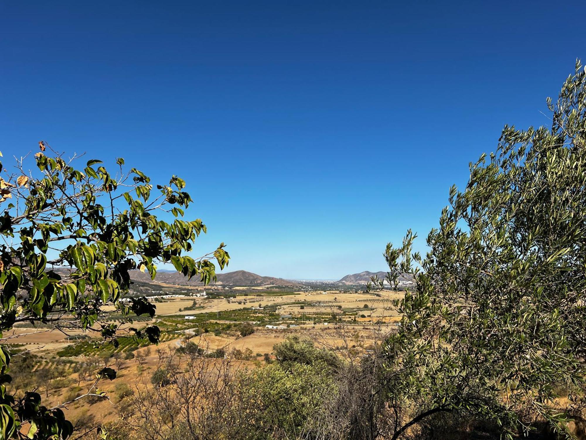 Santa Teresa Bed & Breakfast Andalusien Pizarra Kültér fotó