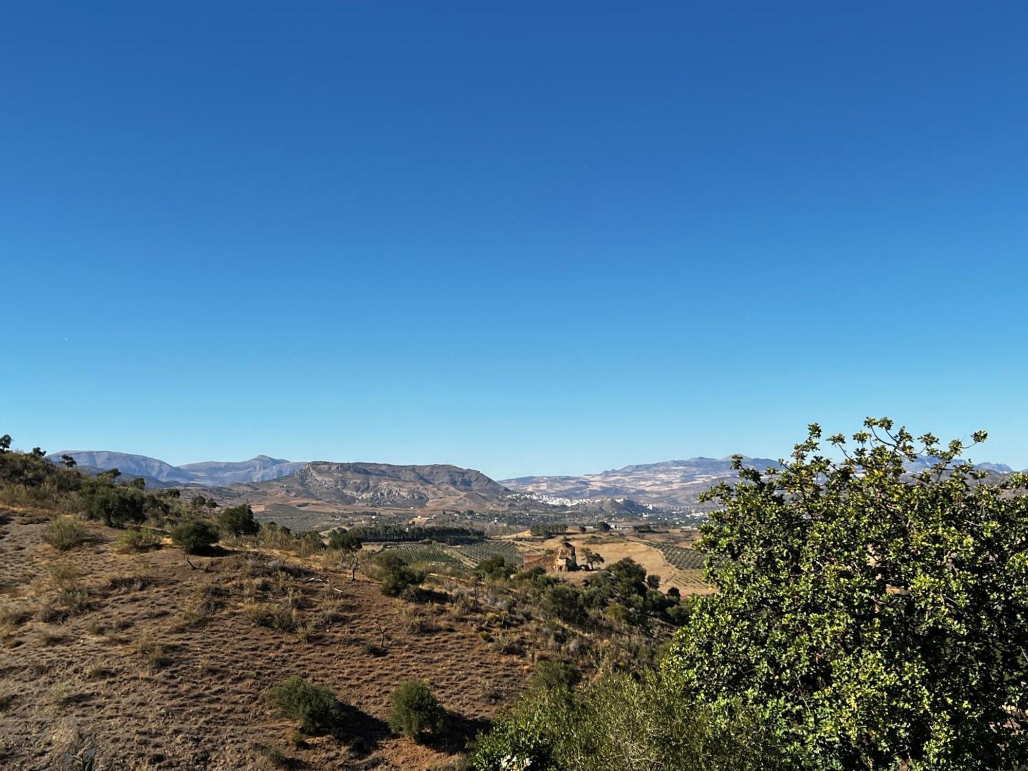 Santa Teresa Bed & Breakfast Andalusien Pizarra Kültér fotó
